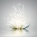 How to Ignite the Integral Integrity Within