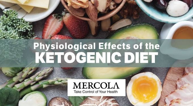 The Ketogenic Diet and Its Physiological Effects on the Human Body
