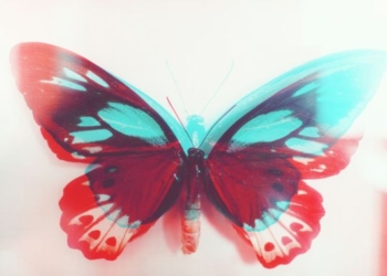The Gift of Growth & Manifesting Your Own Metamorphosis