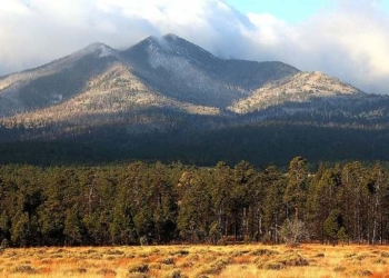 Notre Dame and the Fight for Sacred Lands from an Indigenous Perspective