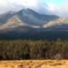 Notre Dame and the Fight for Sacred Lands from an Indigenous Perspective