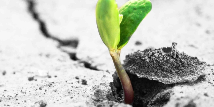 How to Measure Success and Live the Paradox