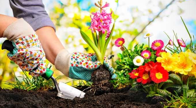 5 Lifestyle Benefits of Gardening