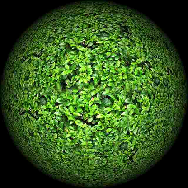 Alternative Energy Sources Are Changing Lives