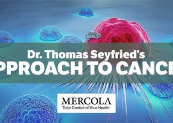 Why Glucose and Glutamine Restrictions Are Essential in the Treatment of Cancer