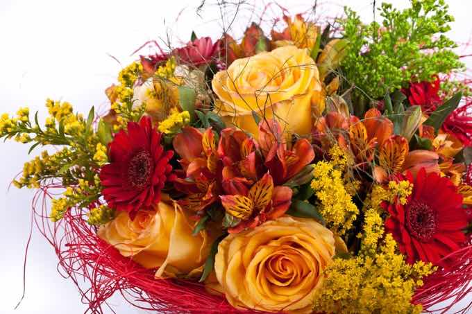 Send Flowers Deliver Happiness