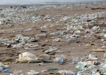 Historic Agreement to Reduce Plastic Waste Reached by Nearly Every Country in the World