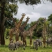 ‘Ominous’ UN Report Warns Human Activity Has Pushed One Million Plant and Animal Species to Brink of Extinction