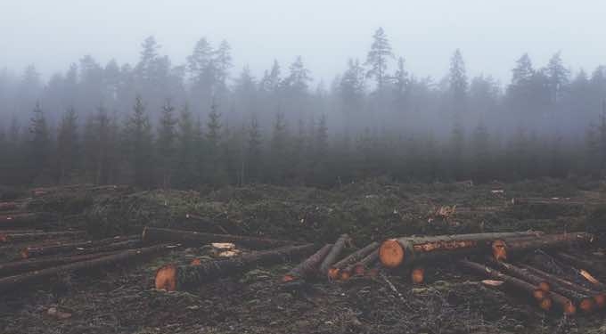 Carbon Capture Technologies-Best Option for Tracking the Climate Changes?