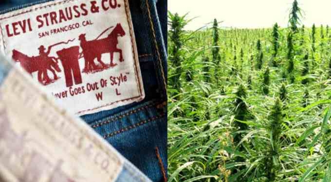 Levi’s is Using Hemp in Their New Line of Sustainable Clothing