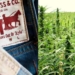Levi’s is Using Hemp in Their New Line of Sustainable Clothing