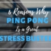 6 Reasons Why Ping Pong Is A Perfect Stress Buster