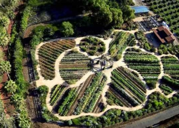 How to Turn Your Patch of Earth From Barren to Bountiful