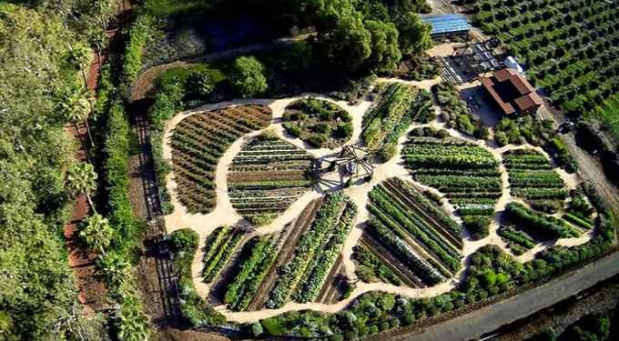 How to Turn Your Patch of Earth From Barren to Bountiful
