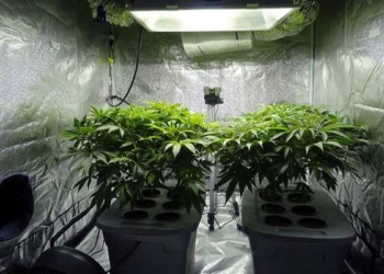 What Kinds Of Heaters Are Best For Grow Tents