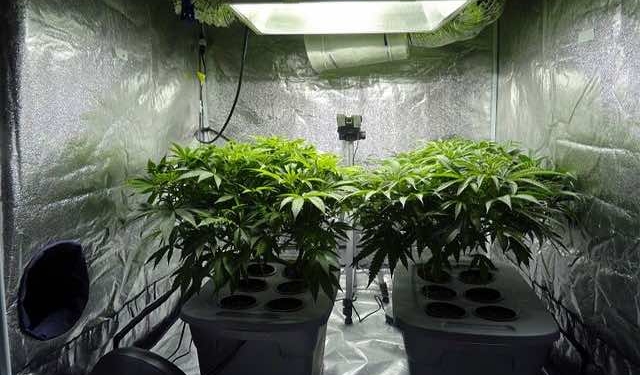What Kinds Of Heaters Are Best For Grow Tents