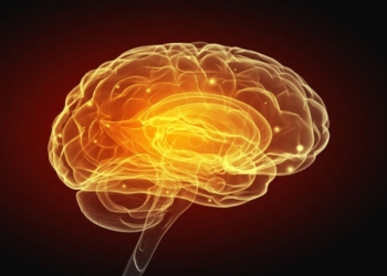 Research Confirms Gut-Brain Connection In Autism