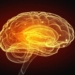 Research Confirms Gut-Brain Connection In Autism