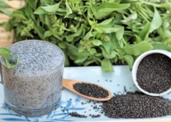 11+ Reported Health Benefits of Basil Seeds