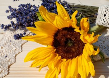 July Monthly Overview & Magazine