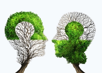 Omnipresence: The Connections of Quantum Consciousness
