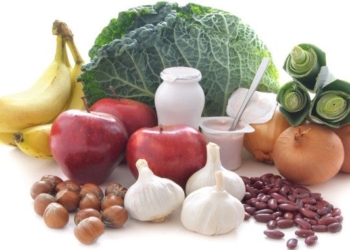 11 Reasons to Love Probiotics