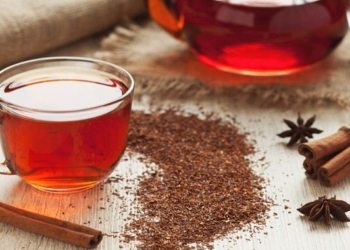 Top Benefits of Rooibos Tea