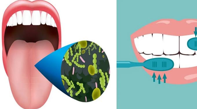 This Is How Long You Need to Brush Your Teeth, According to Science