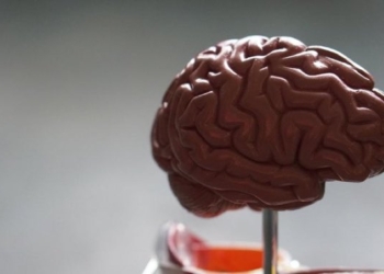 How to Increase Brain Activity At Any Age