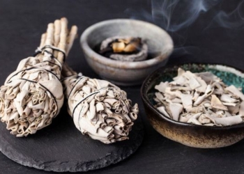 The Ethics of Using Sage for Energy Cleansing