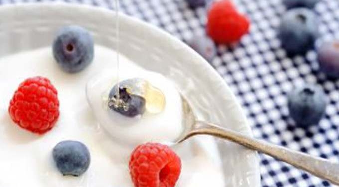 Could Probiotics Be Used as a Viable Treatment for Depression and IBS?