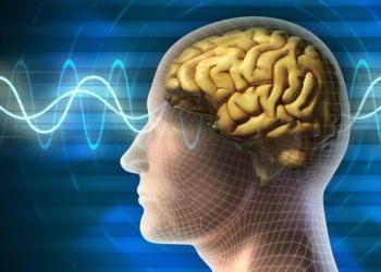 Mental Activités for Higher Consciousness