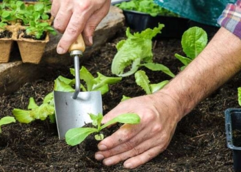 Working With Your Hands Does Wonders for Your Brain