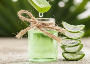 5 Benefits of Aloe Vera Juice | Dr. Joseph Mercola