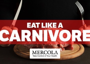 Health Effects of the Carnivore Diet