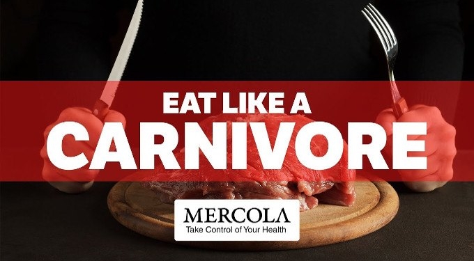 Health Effects of the Carnivore Diet