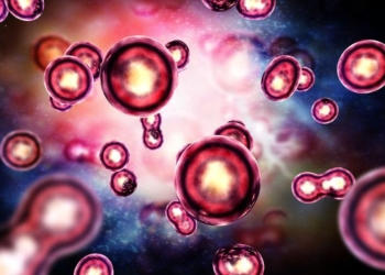 New Cause of Cell Aging Discovered: Findings Have Huge Implications for Cancer and Age-Related Health Conditions