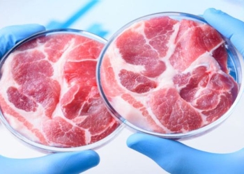 The Fake Food Race Is a  Race Toward Extinction Worth $3 trillion