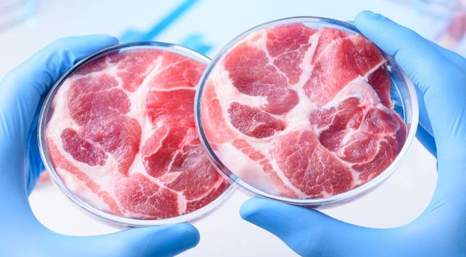 The Fake Food Race Is a  Race Toward Extinction Worth $3 trillion