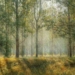Study: Global Effort to Plant a Trillion Trees ‘Overwhelmingly’ Among Most Effective and Cheapest Solutions to Climate Emergency
