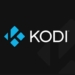 4 Extraordinary Features Possessed By Kodi