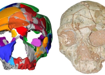 Humans Arrived in Europe 150,000+ Years Earlier Than Previously Thought