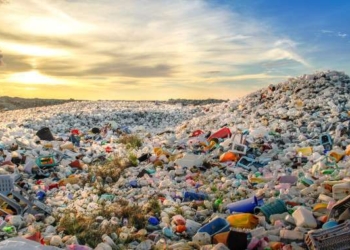 10 Tips To Going Plastic-Free | Dr. Joseph Mercola