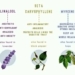 Cannabis Terpenes and Their Effects