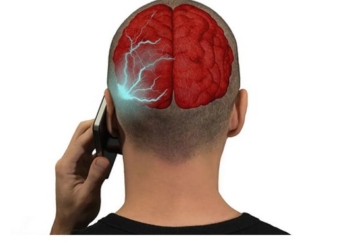 Scientists Explain What Happens To Your Brain From Using Smartphones Every Day