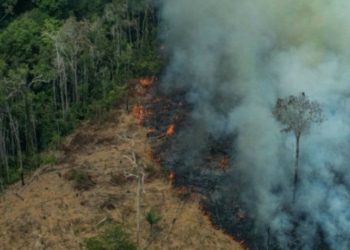 Indigenous Tribes on Front Line of Amazon Rainforest Fires Vow to Resist Bolsonaro’s “Destruction of Mother Nature”