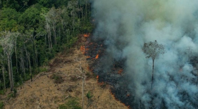 Indigenous Tribes on Front Line of Amazon Rainforest Fires Vow to Resist Bolsonaro’s “Destruction of Mother Nature”