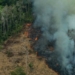 Indigenous Tribes on Front Line of Amazon Rainforest Fires Vow to Resist Bolsonaro’s “Destruction of Mother Nature”