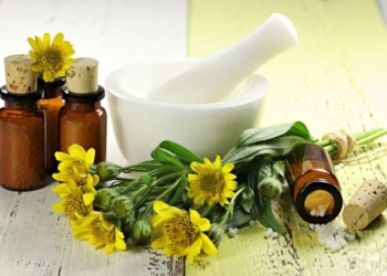 Arnica: This Powerful Herb Promotes Various Kinds of Healing