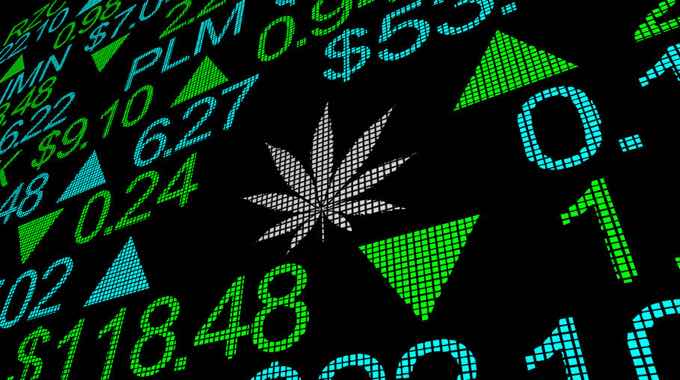The Best Marijuana Stocks to Invest Your Money In